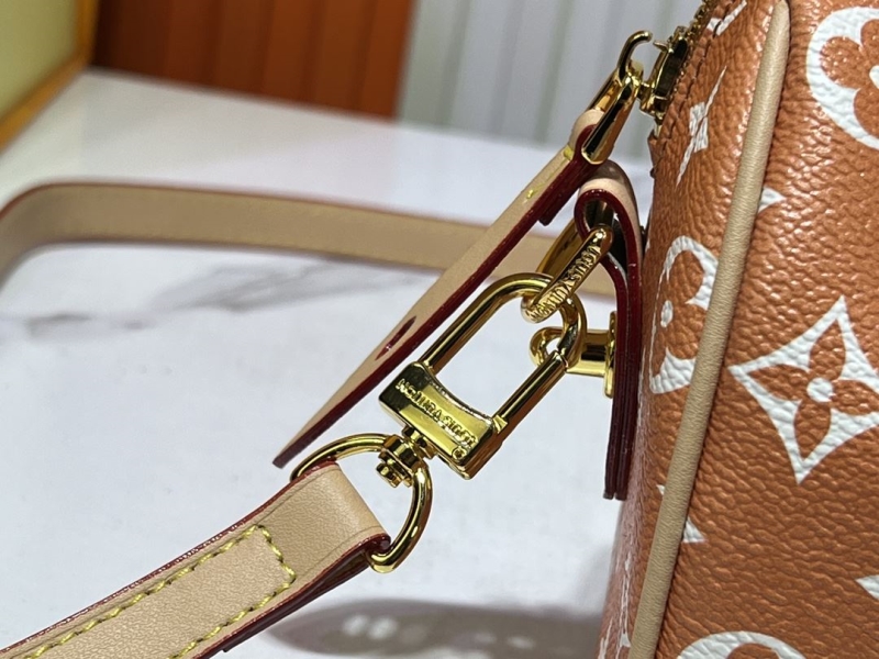 LV Speedy Bags